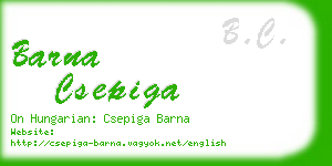 barna csepiga business card